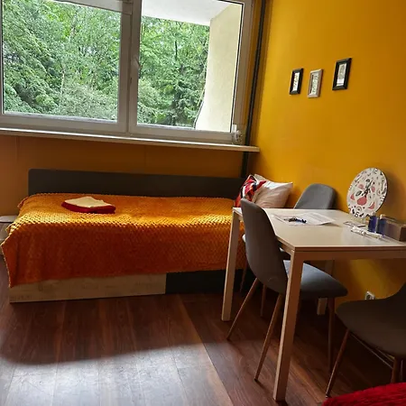 בית הארחה Travel House